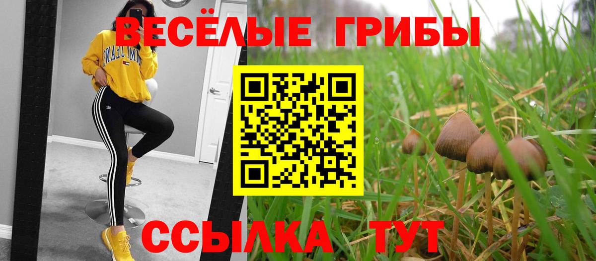 Новокубанск  Псилоцибиновые грибы ЛСД  Вход с VPN  Галлюциногенные грибы мухоморы 